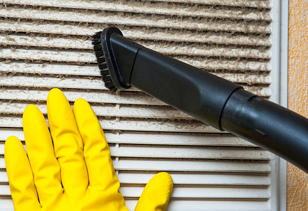 Best Ductwork Cleaning Services  in Sardis City, AL