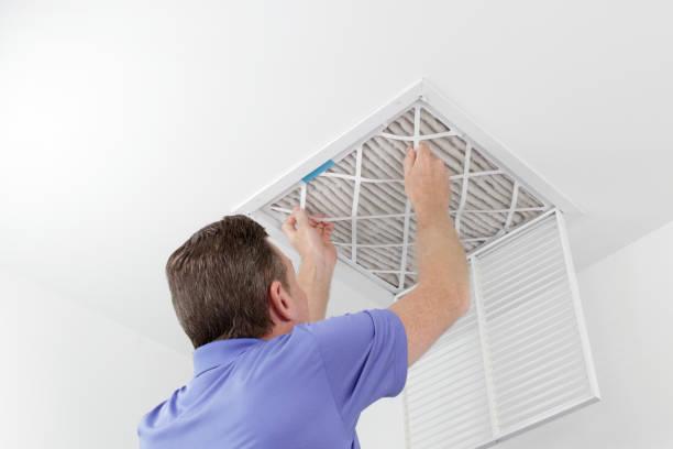 Best Dryer Vent Cleaning Services  in Sardis City, AL